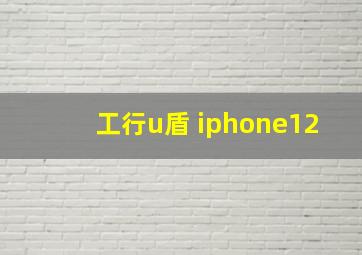 工行u盾 iphone12